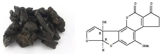 康源泰博免疫亲和柱在何首乌黄曲霉毒素检测中的应用